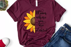 Bloom Where You Are Planted I Sunflower Sublimation Design