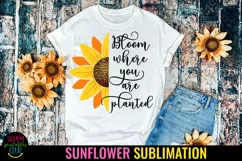 Bloom Where You Are Planted I Sunflower Sublimation Design
