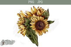 Sunflower watercolor digital download JPG PNG Product Image 1