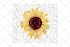 Sunflower with White Crackle Tumbler Design Product Image 2