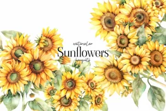 Sunflower bouquets clipart. Watercolor sunflowers frame PNG Product Image 1