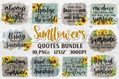 Best Sellers Sublimation Bundle, Sarcastic Tshirt PNG Bundle Product Image 4