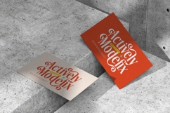 Sunkis Display - Groovy Serif Display Font Product Image 6