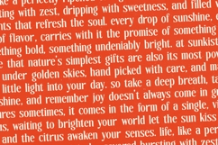 Sunkis Display - Groovy Serif Display Font Product Image 12