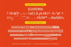 Sunkis Display - Groovy Serif Display Font Product Image 18