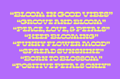 Sunny Groovy - Display Groovy Font Product Image 3