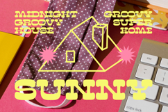 Sunny Groovy - Display Groovy Font Product Image 7