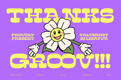 Sunny Groovy - Display Groovy Font Product Image 20