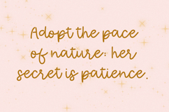 Sunset Fireflies Stencil Script Product Image 7