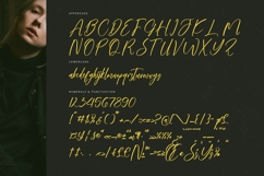 Sunshine Daytimes - Bold Handwritten Font Product Image 18