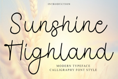 Sunshine Highland Product Image 1