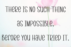 Sunshine Wildflower Product Image 5