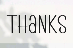 Sunshine Wildflower Product Image 6