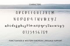 Sunshower Script Font Product Image 10