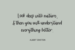 Sunshower Script Font Product Image 3