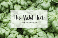 Sunshower Script Font Product Image 4