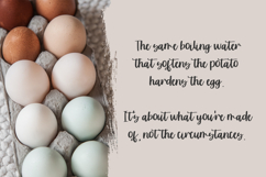 Sunshower Script Font Product Image 5