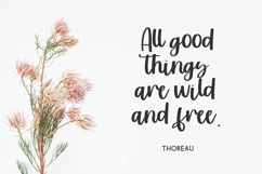 Sunshower Script Font Product Image 7