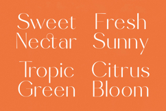 Sunveil Orange - Modern Display Sans Serif Font Product Image 9