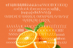 Sunveil Orange - Modern Display Sans Serif Font Product Image 18