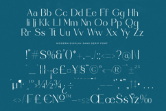 Sunveil Orange - Modern Display Sans Serif Font Product Image 19