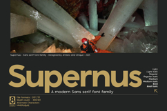 Supernus - Sans serif Font Family Product Image 2