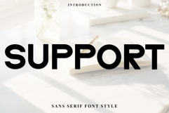 Support Product Image 4