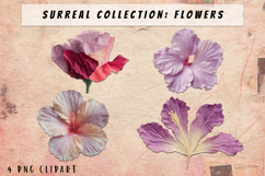 Hibiscus Surreal Flowers Clipart PNG Product Image 1