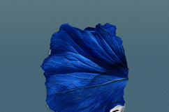 Surreal Floral Collage Art Photo Effect Product Image 4