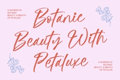 Suthel Matik - Bold Brush Font Product Image 6