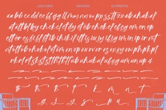 Suthel Matik - Bold Brush Font Product Image 11