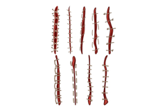 suture set cartoon Product Image 1