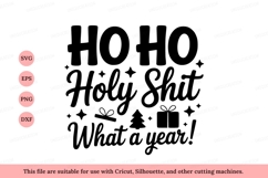 Ho Holy Shit What A Year christmas holiday Product Image 1