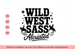 Wild West Sassy Cowgirl Horse Riding image Product Image 1