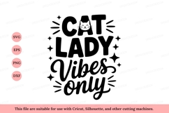 Cat Lady Vibes Only text Product Image 1