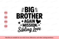 Big Brother Again Mission Sibling Love image Product Image 1
