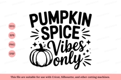 Pumpkin Spice Vibes Only autumn fall Product Image 1