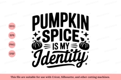 Pumpkin spice identity fall autumn Product Image 1