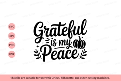 Grateful peace pumpkin leaves autumn Product Image 1