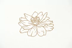 Marigold SVG, Anemone Flower SVG, Floral paper laser cut SVG Product Image 1