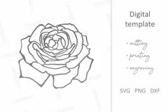 Rose Flower SVG, Vintage Rose, Floral paper laser cut SVG Product Image 2