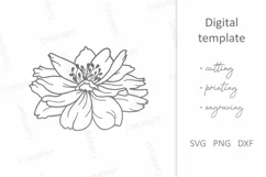 Marigold SVG, Anemone Flower SVG, Floral paper laser cut SVG Product Image 2