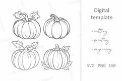 Fall Pumpkin SVG, Pumpkin SVG Cricut Silhouette cut file Product Image 2
