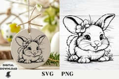 Bunny svg, Easter Bunny, Easter svg Product Image 1