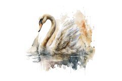 Swan Colorful Watercolor Sublimation, Swan Colorful Watercolor, Sublimation Design, Digital Download, Watercolor Clipart, Art, Illustration Instant Download, Digital ,Sublimation, Printable, Print On Demand ,Bundle Clipart, Watercolor,