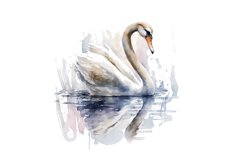 Swan Colorful Watercolor Sublimation, Swan Colorful Watercolor, Sublimation Design, Digital Download, Watercolor Clipart, Art, Illustration Instant Download, Digital ,Sublimation, Printable, Print On Demand ,Bundle Clipart, Watercolor,