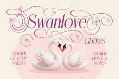 Swantime Typeface Product Image 8