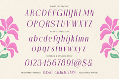 Swantime Typeface Product Image 11
