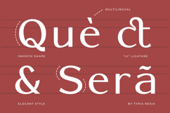 Swanza - Luxury Elegant Sans Serif Product Image 6