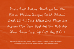 Sweet Disposition Handwritten Script Font Wedding Font Product Image 11